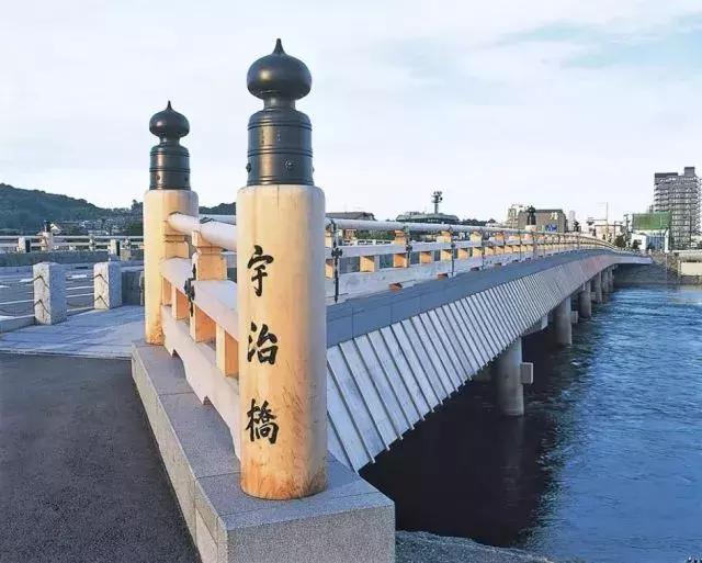 蛙不着家!空巢老母亲就将它去的地方、买的珍品统统扒了一遍!