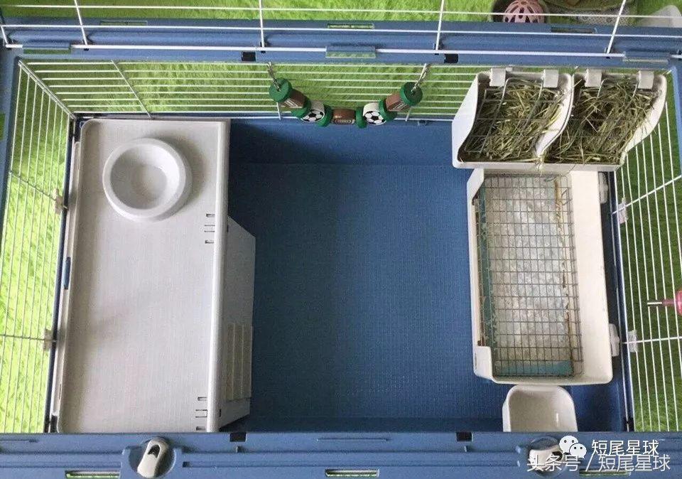 哪种兔笼比较好,兔笼有几种款式