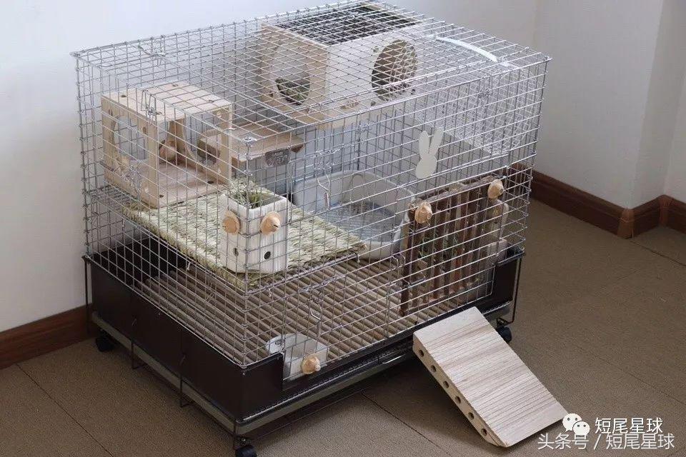 哪种兔笼比较好,兔笼有几种款式