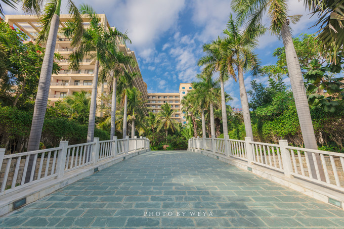 面面旅拍—诉不完千古泪,道不停三亚情,这个冬天我们掌心有太阳