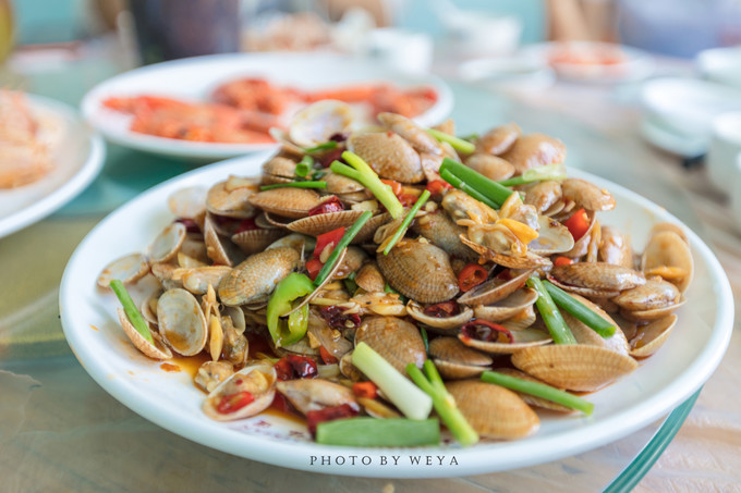 面面旅拍—诉不完千古泪,道不停三亚情,这个冬天我们掌心有太阳