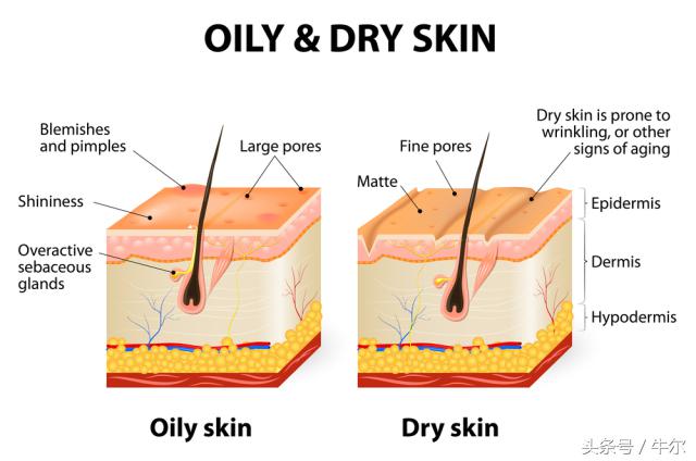 肌肤松弛显毛孔粗大用什么产品,老化型毛孔粗大如何改善小技巧