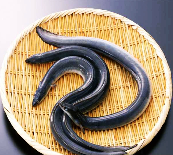 野钓意境图,意境泛舟钓鱼图