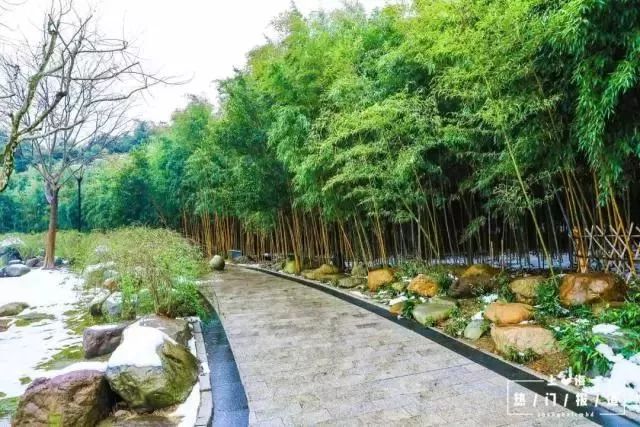 上海17号地铁能直达朱家角镇,上海朱家角地铁17号线出口