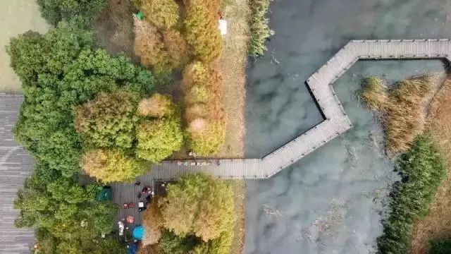 上海17号地铁能直达朱家角镇,上海朱家角地铁17号线出口