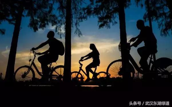 东湖绿道生机勃勃,世界级绿道东湖绿道