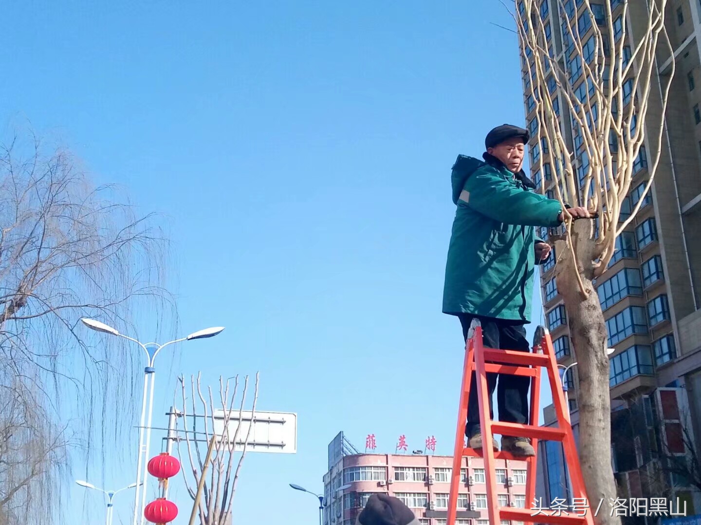 宜阳灯笼,宜阳元宵挂灯