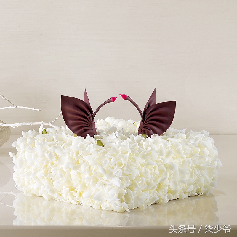 黑天鹅蛋糕还是白天鹅蛋糕好看,好利来黑天鹅艺术蛋糕