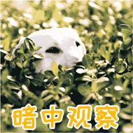 不加戏的裁判不是好裁判，不假摔的球员不是好的跳水运动员