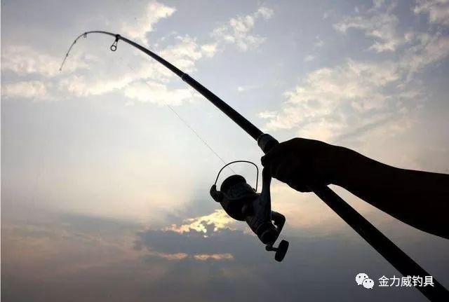 阿布加西亚鱼竿系列分类,鱼竿分类图片大全