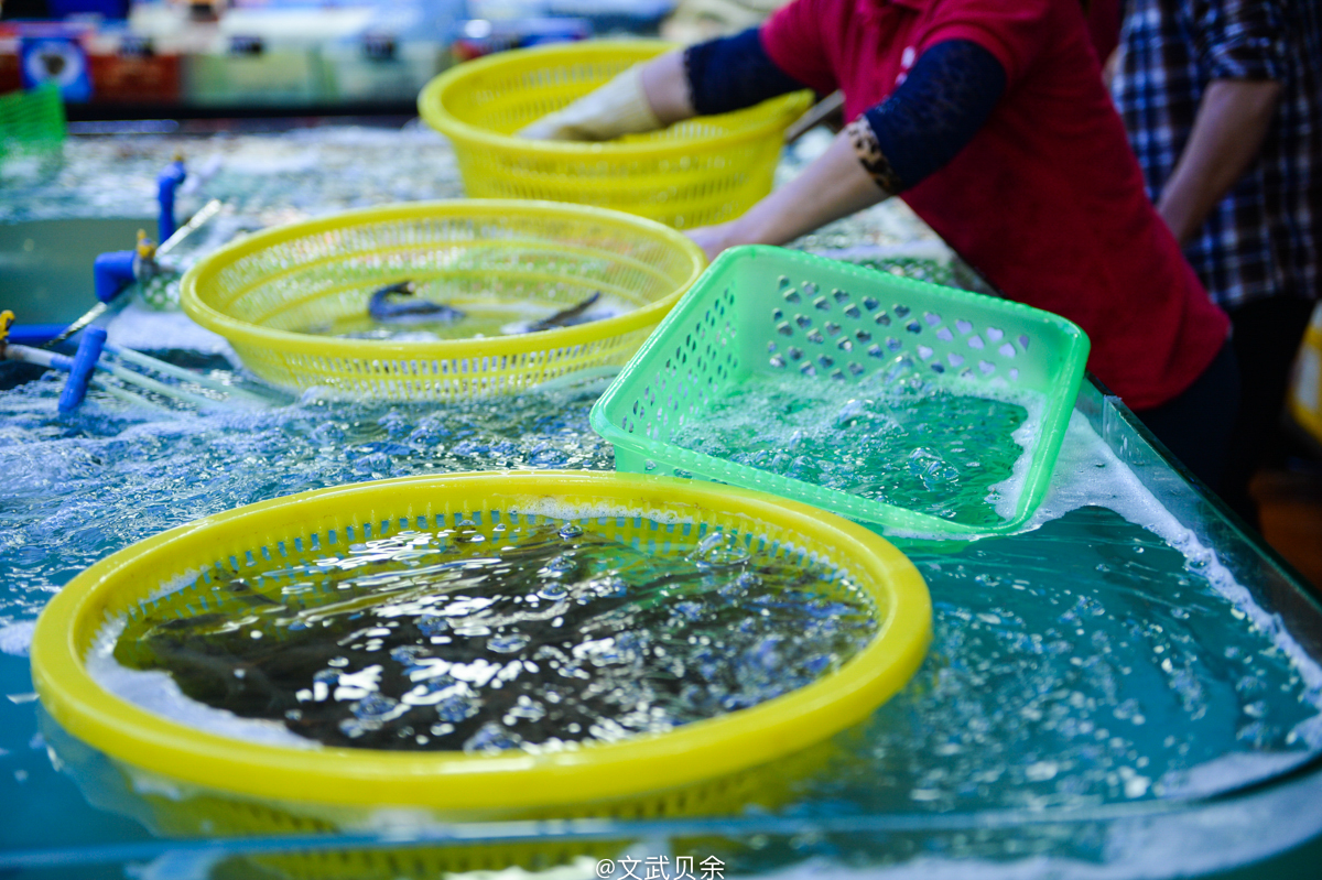三亚海棠湾吃货攻略,三亚美食攻略最详细