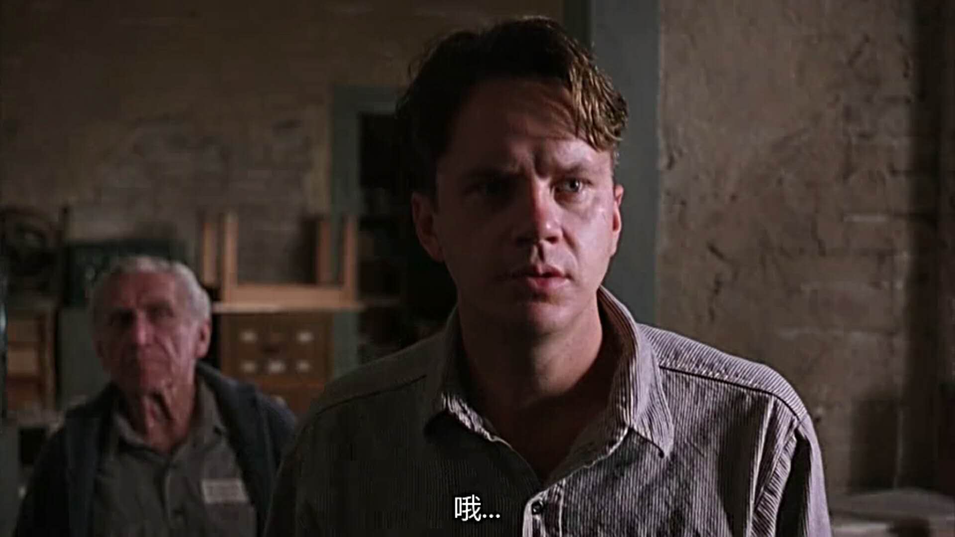 电影天堂，全网VIP资源干净无广告，没错免费看！