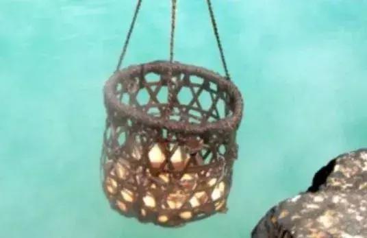 蛙不着家!空巢老母亲就将它去的地方、买的珍品统统扒了一遍!