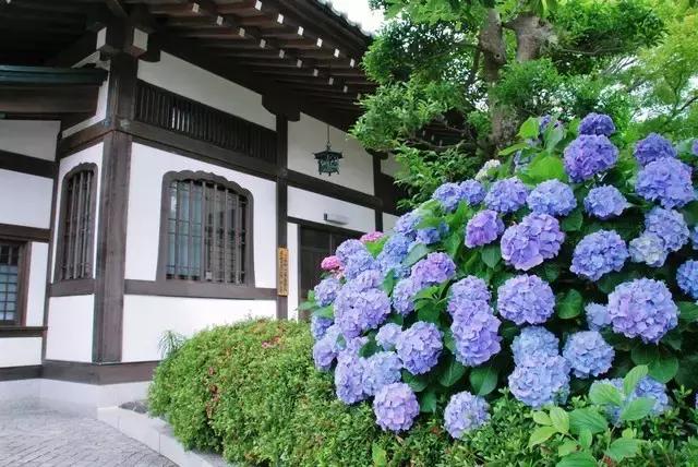 日本旅游攻略镰仓在哪,日本镰仓旅游攻略学生