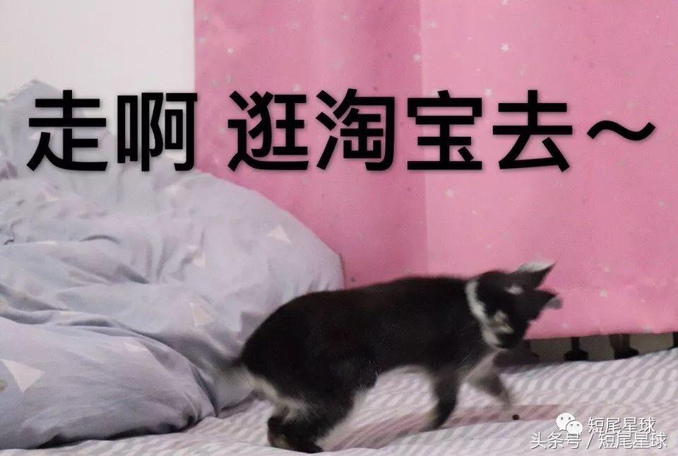 哪种兔笼比较好,兔笼有几种款式