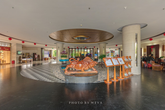 面面旅拍—诉不完千古泪,道不停三亚情,这个冬天我们掌心有太阳