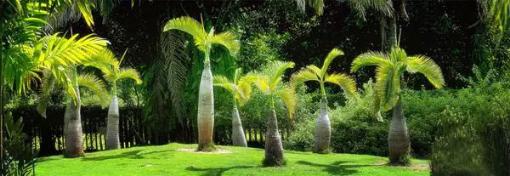 鑫控集团“雨林探秘”求真冬令营今日正式起航