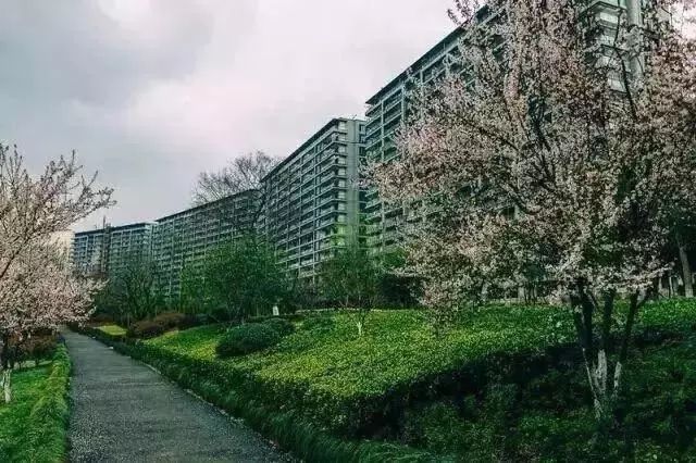 腾讯中秋员工福利,腾讯阿里百度同时聘用哪个好