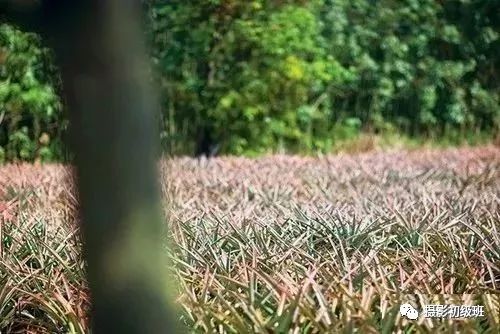 相机哪些参数影响画质,相机各种参数分别决定了什么