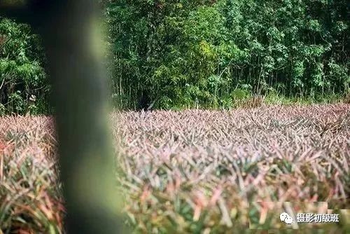 相机哪些参数影响画质,相机各种参数分别决定了什么