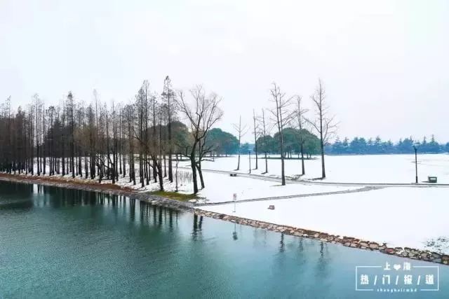 上海17号地铁能直达朱家角镇,上海朱家角地铁17号线出口