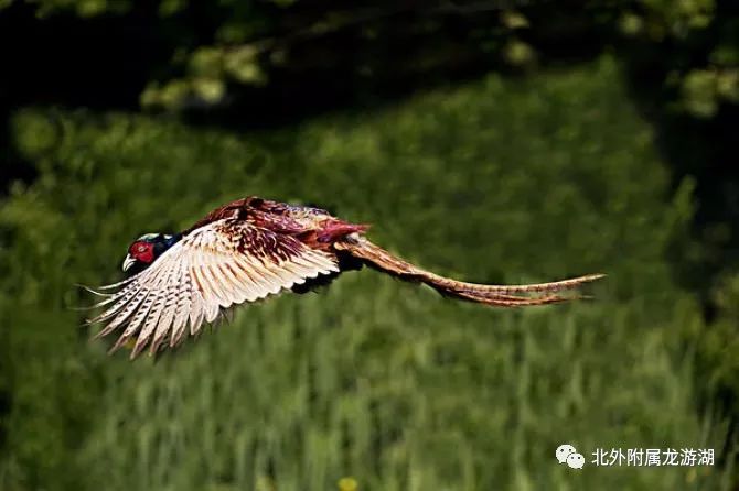 如皋文化,如皋历史传说