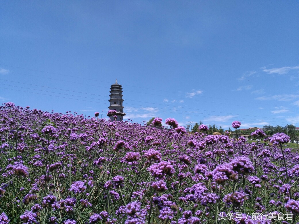 西安附近薰衣草庄园有哪些,西安周边薰衣草景区有哪些