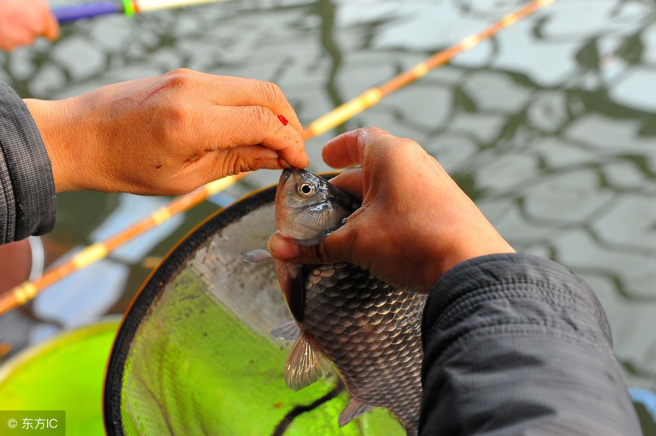 野钓防小鱼的土方法,钓鱼新手遇到小鱼怎么钓