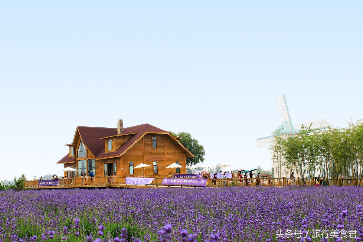 西安附近薰衣草庄园有哪些,西安周边薰衣草景区有哪些