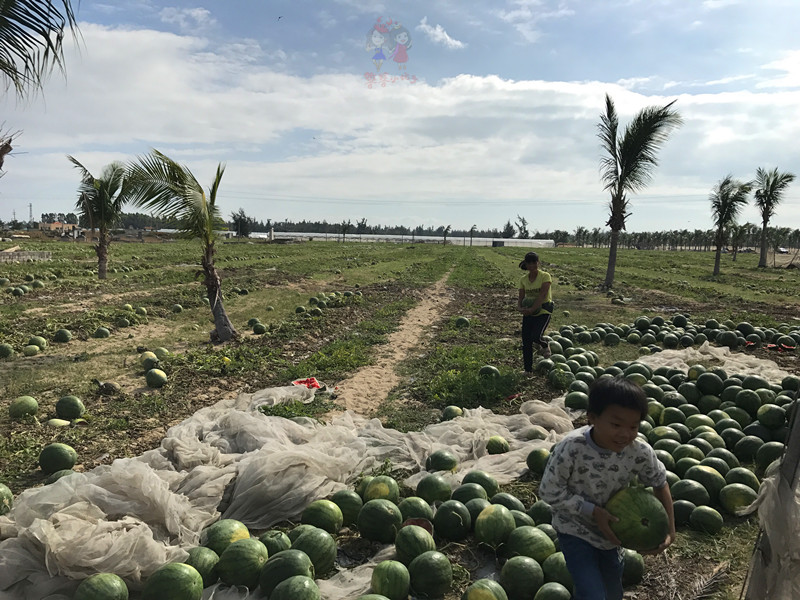 看我国仅次于死海和红海的最咸海区！吃比广东还好吃的烤乳猪！