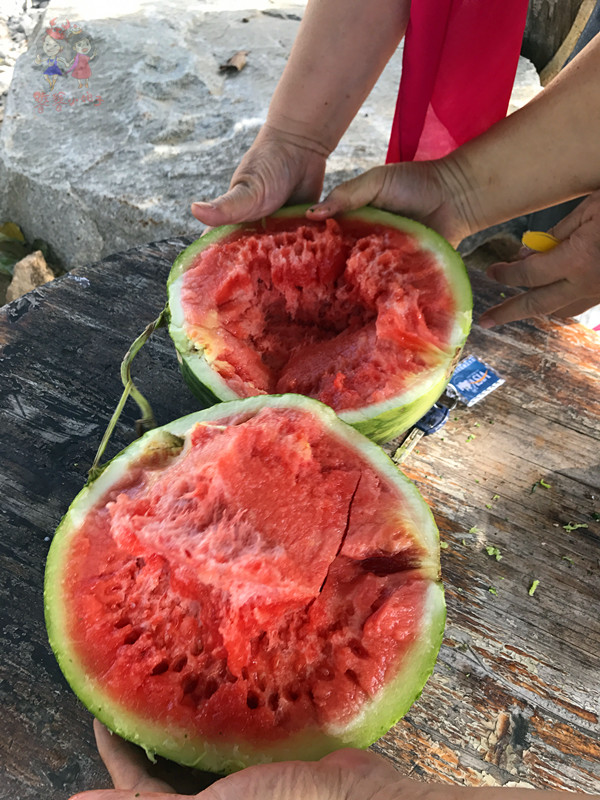 看我国仅次于死海和红海的最咸海区！吃比广东还好吃的烤乳猪！