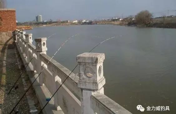 阿布加西亚鱼竿系列分类,鱼竿分类图片大全