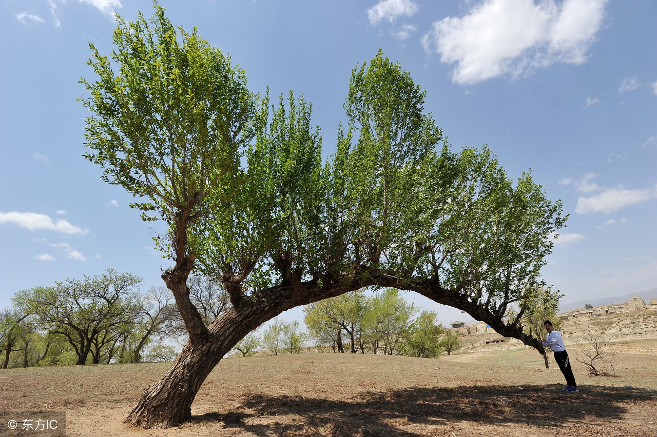 终于找到完整版的成语接龙,史上最牛的成语接龙完美排版