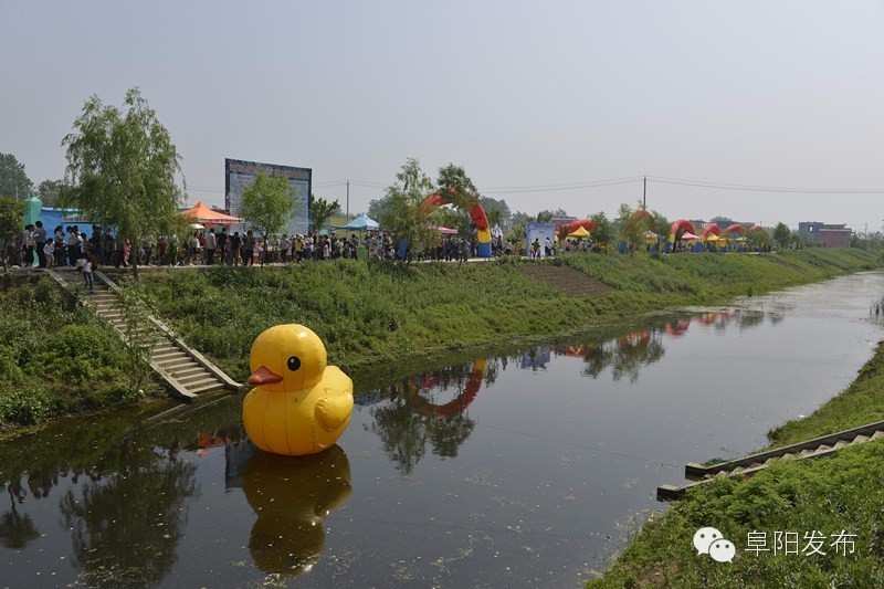 界首有个*瑰园玫**,美爆了!没去别后悔~