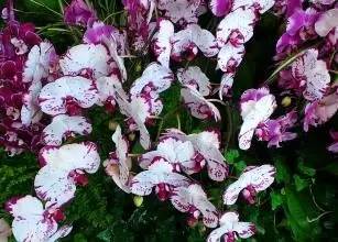 长阳奋斗,长阳县发展