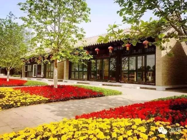 五一劳动节探险王国,五一假期丛林探险