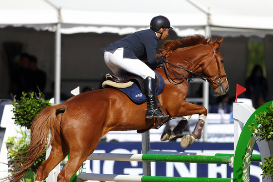 2017浪琴马术冠军赛,2017浪琴马术世界杯
