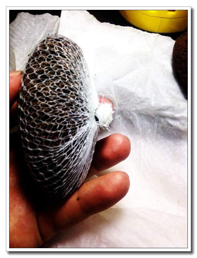 社区精华有鱼成长之路