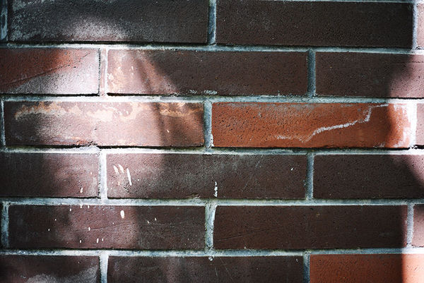 尼康d90加永诺50mmf1.8d怎么用,尼康50mm1.8g和永诺50mm1.8