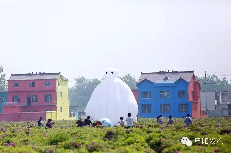 界首有个*瑰园玫**,美爆了!没去别后悔~