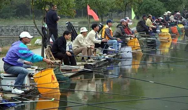 界首有个*瑰园玫**,美爆了!没去别后悔~