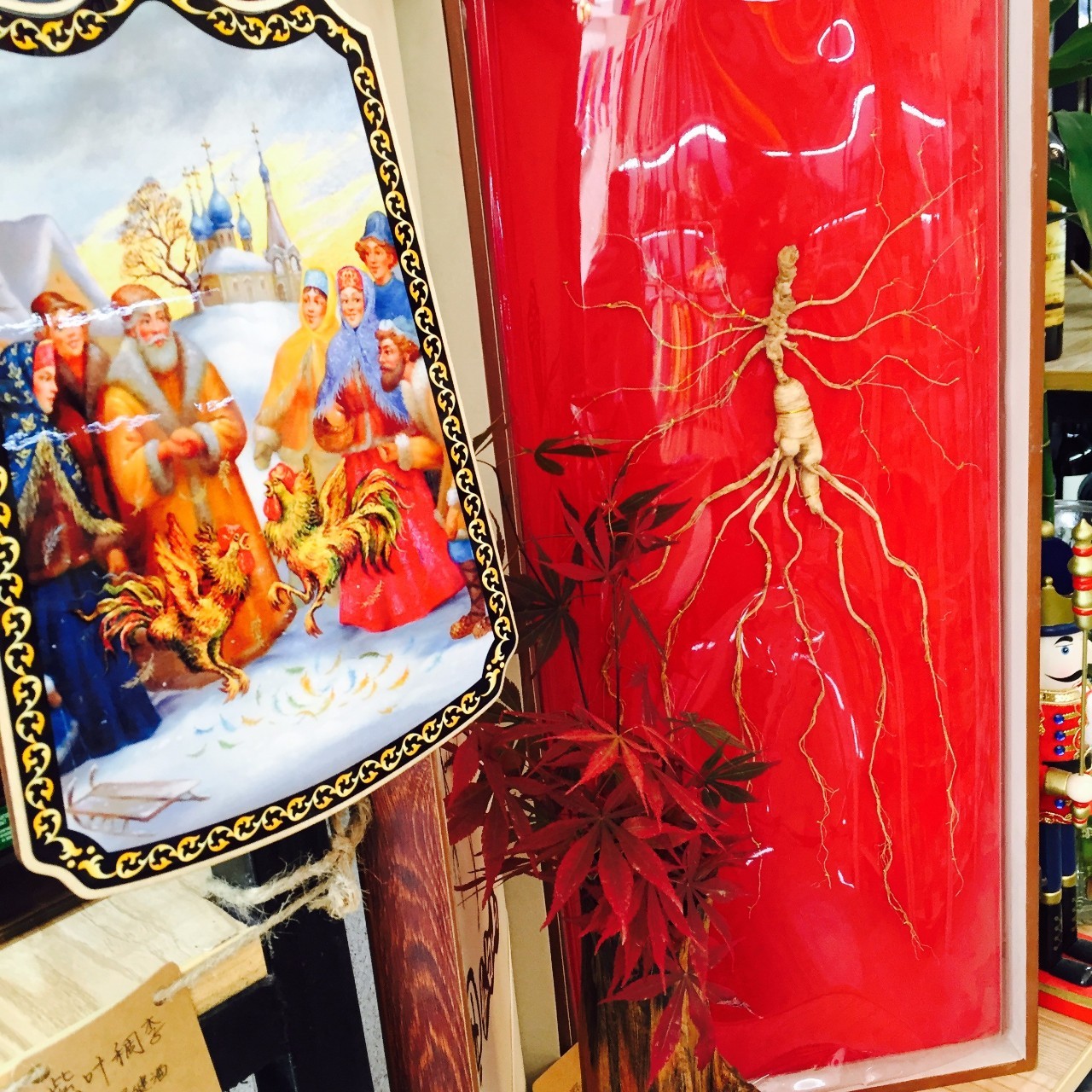 索菲亚好猖狂啊！老板娘送参王啦！五一大礼太豪啦！（文内5块9）