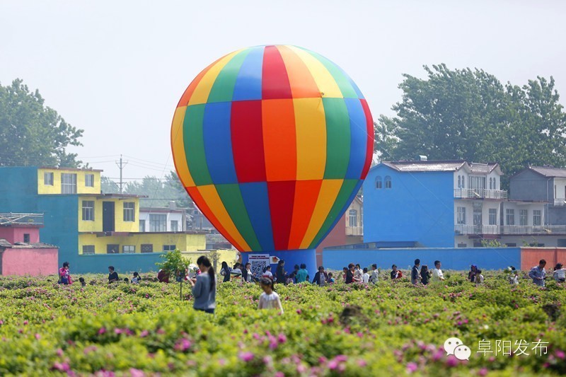 界首有个*瑰园玫**,美爆了!没去别后悔~