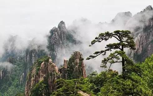 西青被发现有撒*药迷**团伙？警方回应系谣言