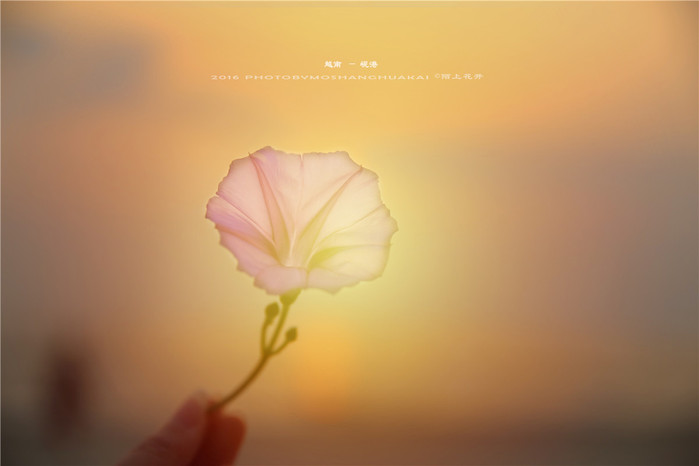 周末越南团进入东兴旅游,节假日去越南旅游怎么样