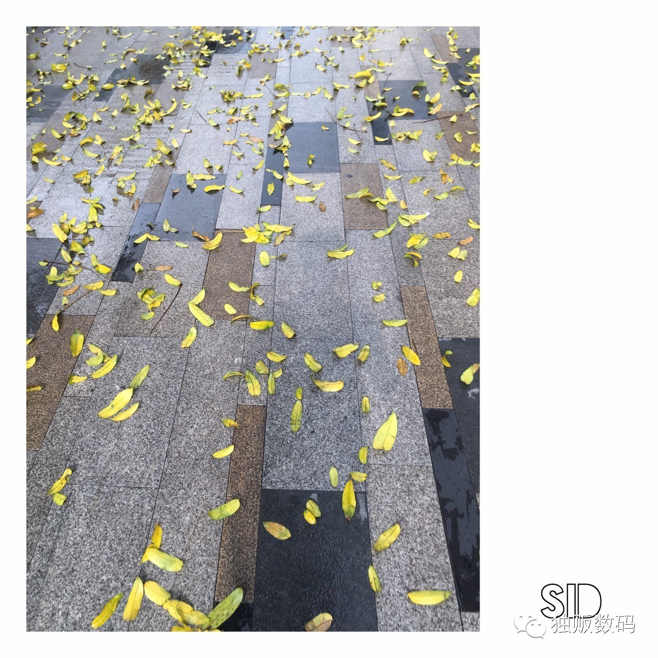 app推荐英语学习,推荐app加文字