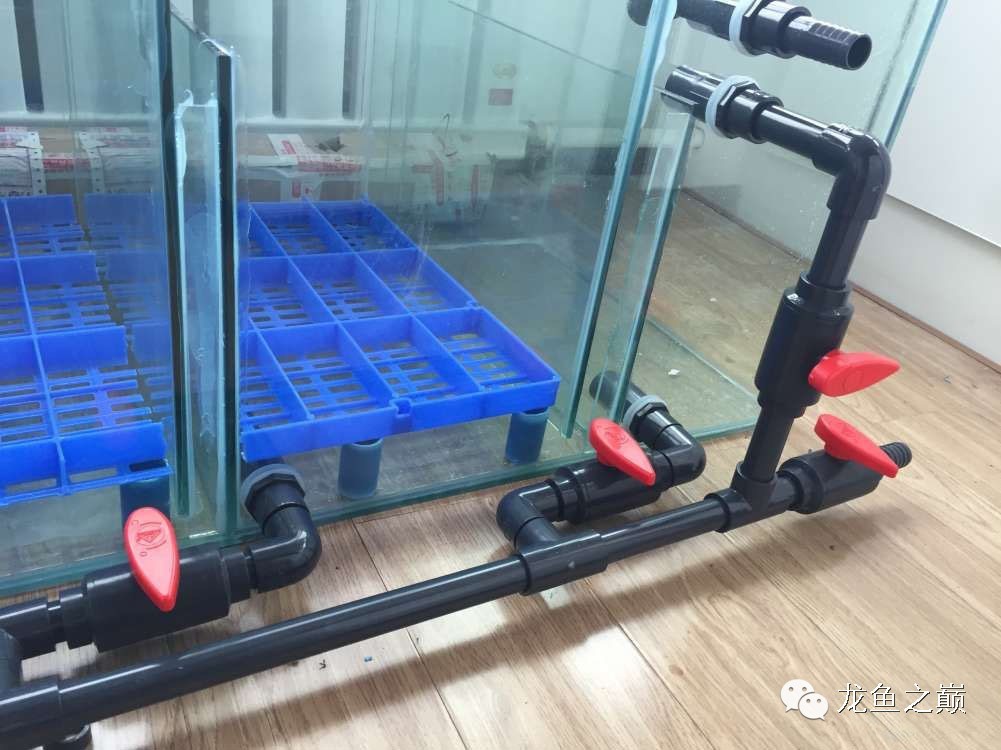 开启人生第二个阶段,开启人生中的第三年