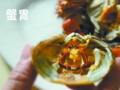 爱吃海鲜的人要注意什么,爱吃海鲜的人怎么避免痛风