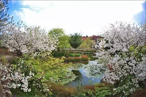 据说,江西人有了这条微信,就可以在韶关打开“仙境之门”!