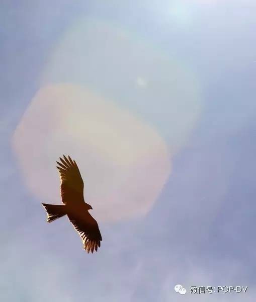 宇宙区长孙连城片段,宇宙天魔电影片段